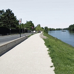 végétal