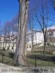 parc