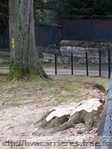 parc